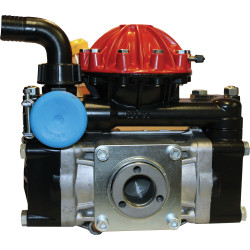 AR50 D50 Diaphragm Pump Only AR50-SP
