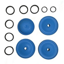 Repair AR80BP Diaphragm Kit