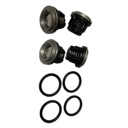 Repair AR30 Valve Kit