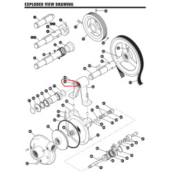 Ace Pumps, Washer, 3/8” locking